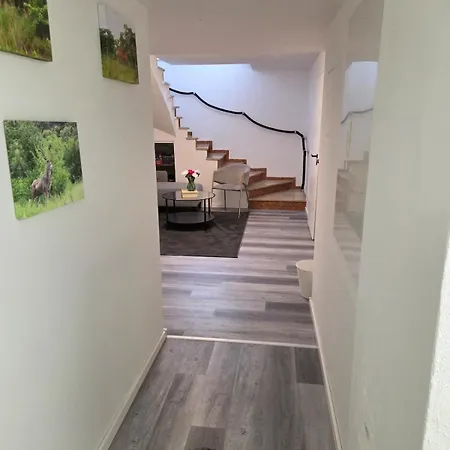 Souterrainwohnung In Neu Renoviert
